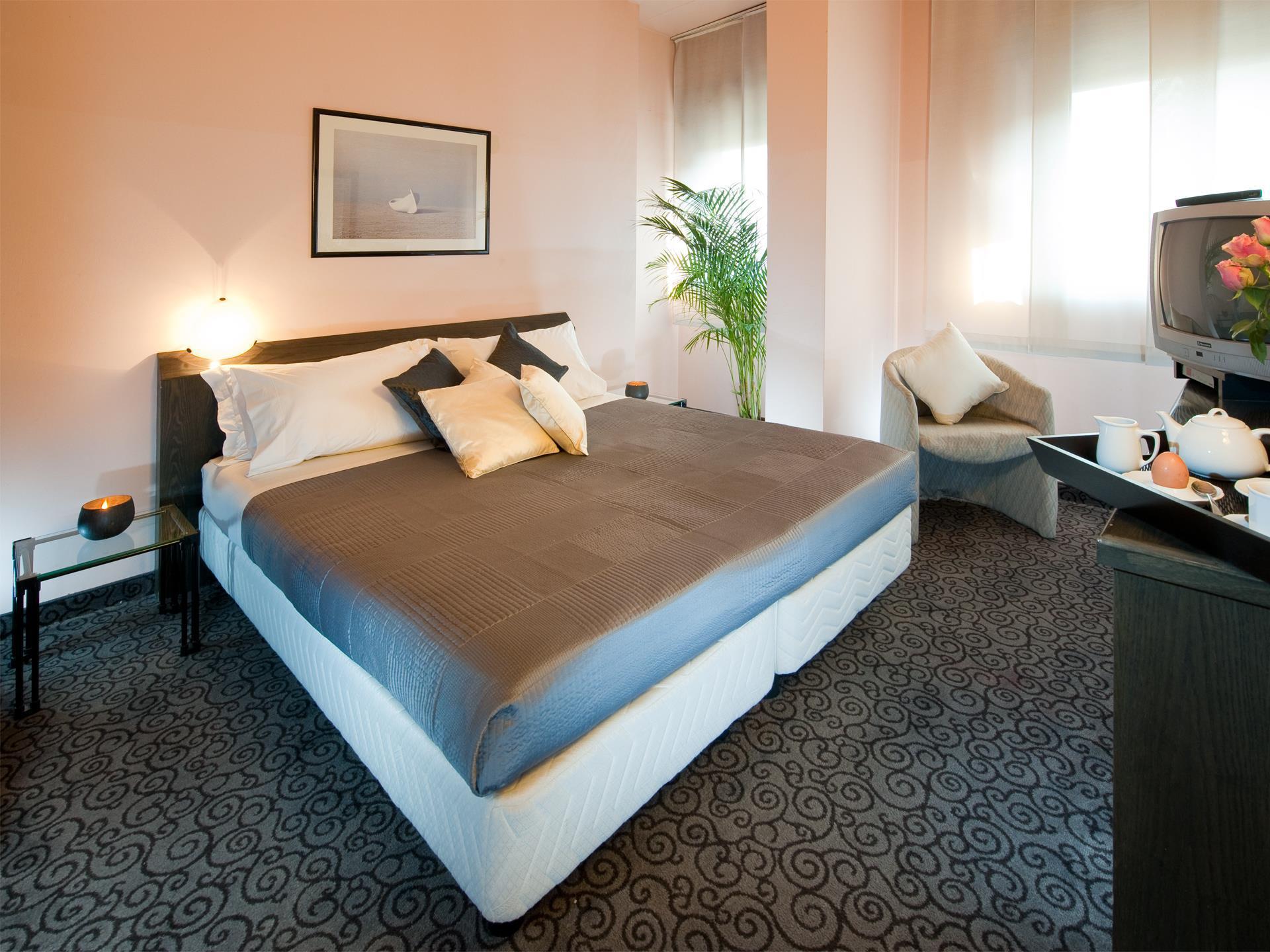 Comtur Hotel Binasco